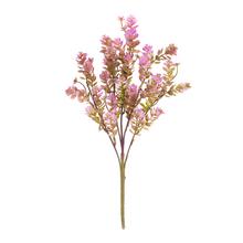 ZELEŇ SEDUM RUŽOVÉ 35CM - Zápich růžový, fialový | FLORASYSTEM