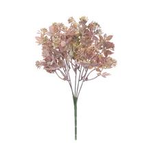 ZELEŇ SEDUM BORDOVO-ZELENÉ 30CM - Zápich růžový, fialový | FLORASYSTEM