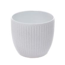 OBAL BELICE COCONUT 19CM - Obal jednobarevný | FLORASYSTEM