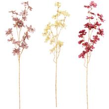 KS COSMOS MIX/3F 95CM - FLORASYSTEM