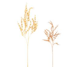 ZELEŇ EUCALYPTUS BABYBLUE MIX/2F 78CM - FLORASYSTEM