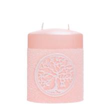 DRIEVKO ŠŤASTIA ELIPSA RUŽOVÁ - FLORASYSTEM