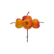 ZÁPICH JABĹČKA ŽLT-ORANŽOVÉ S/4 13CM - Plody podzimní | FLORASYSTEM