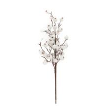 ZÁPICH ŠÍPKY BIELE ĽADOVÉ 45CM - Bobule bílé | FLORASYSTEM