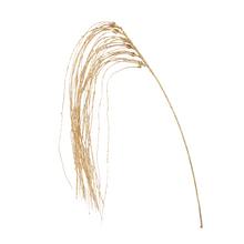 KONÁR VŔBA PREVISLÁ ZLATÁ 110CM - Větev zimní | FLORASYSTEM