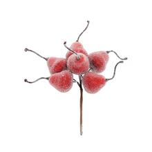 ZÁPICH HRUŠKY ČERVENÉ MRAZENÉ S/6 17CM - FLORASYSTEM