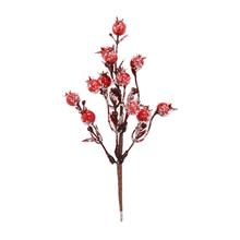 ZÁPICH ŠÍPKY ČERVENÝ, ĽAD22CM - FLORASYSTEM