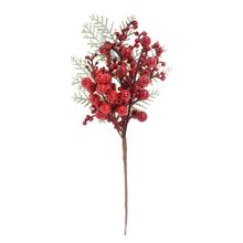 ZÁPICH ČERVENÉ BOBULE, TUJA ZASNEŽ. 30CM - FLORASYSTEM