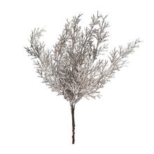 ZÁPICH TUJA ŠAMPÁŇ 20CM - FLORASYSTEM