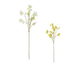 KONÁR OXYPETALUM ŽLT/BIE MIX/2F 64CM - Luční květiny | FLORASYSTEM