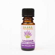 LEVANDUĽA ANGUSTIFOLIA sk  - Silice | FLORASYSTEM