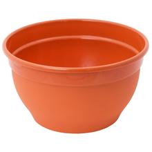 294 MISA IRYS 18cm - FLORASYSTEM