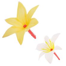 Lilie vazebných / UH / V10CM / Š12CM - FLORASYSTEM