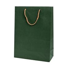 TAŠKA PAPIER PÚDROVÁ šalv. zelená 27X37+12cm - FLORASYSTEM