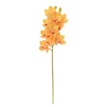 KS ORCHIDEA CYMBIDIUM ŽLTÉ 76CM - Orchidej | FLORASYSTEM