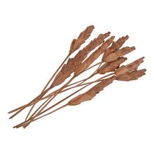 Escamadinho S/10 pacz -susz - Celoročné | FLORASYSTEM