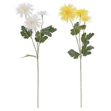 KS CHRYZANTÉMA MIX/2F 75CM - FLORASYSTEM