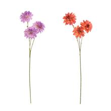 KS CHRYZANTÉMA MIX/2F 68CM - Chryzantéma | FLORASYSTEM