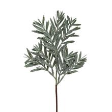 ZÁPICH ZELEŇ 33CM - FLORASYSTEM