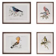 OBRAZ motív vtáky 30x40cm - FLORASYSTEM