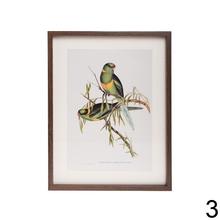 Obraz s motívom vtákov v ráme.