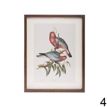 Obraz s motívom vtákov v ráme.