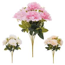 KYTICA PIVÓNIA HELEBORUS x11 50CM MIX 3F - Pivoňka | FLORASYSTEM