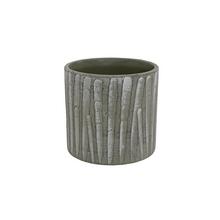 OBAL RYHA ZELENÝ 12XV10,5CM - Obal jednobarevný | FLORASYSTEM