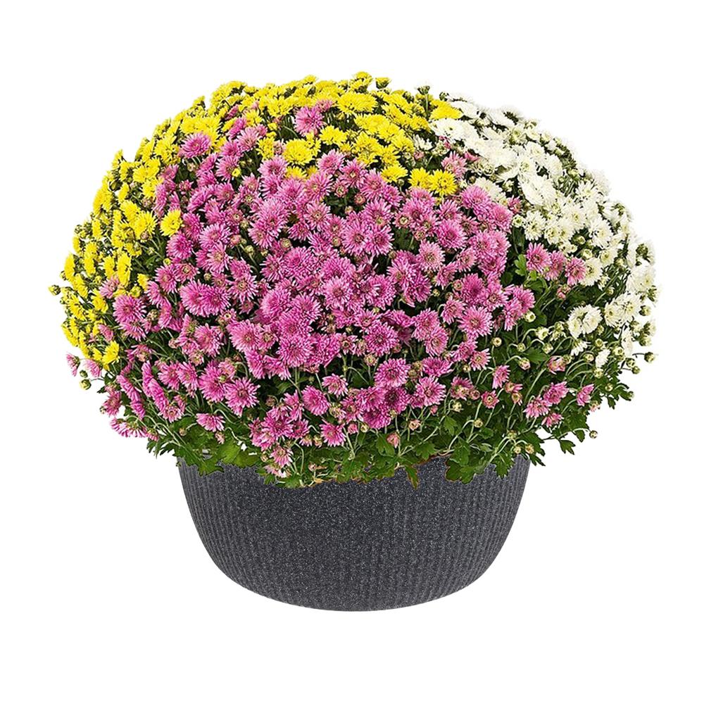 Mísa Linetto v kamenné černé barvě