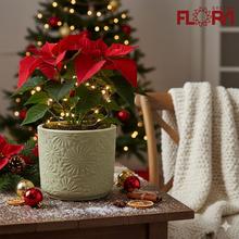 Obal Salvia s vzorom vločky, keramický kvetináč.