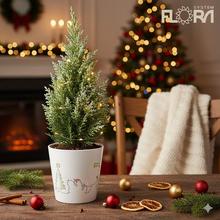 Vianočný obal s motívom Santa Clausa a zvierat.