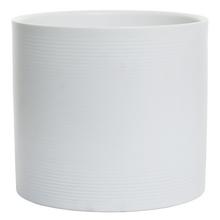 68142 OBAL PANNA 828/33 - Obal bílý | FLORASYSTEM