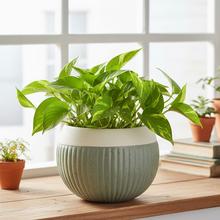 Zelený keramický obal na kvetináče s hladkým a textúrovaným povrchom.