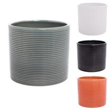 68498 OBAL KAKTUS 828/07 - Obal kaktus | FLORASYSTEM