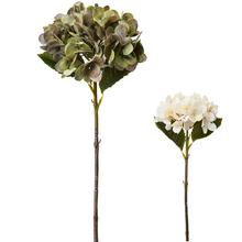 KS HYDRANGEA  MIX/ 2F 44CM - FLORASYSTEM