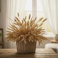 Sušené květiny a zeleň - Umělé květiny | FLORASYSTEM