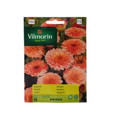 MĚSÍČEK PINK SUPRISE 1g - FLORASYSTEM