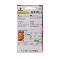 Semená ASTRA čínska Sandra 0,5g