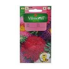 ASTRA čín.pompon. ZMES 1,5g 50% GRATIS - FLORASYSTEM