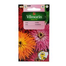 CÍNIA CHRYZANTÉMOVITÁ MIX 1g - FLORASYSTEM