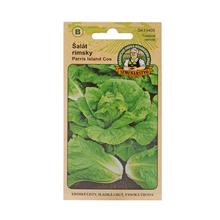 ŠALÁT RÍMSKY PARRIS ISLAND COS 1g - Tradičné osivá starkého JOJA | FLORASYSTEM