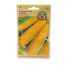 KUKURICA CUK.GOLDEN BANTAM 15g - Tradičné osivá starkého JOJA | FLORASYSTEM