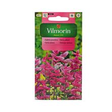 ŠALVĚJ 0,5g - ostatné | FLORASYSTEM