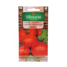 Rajčete SAINT PIERRE 1g - FLORASYSTEM