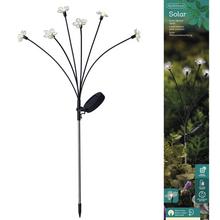 led Solár zápich kvietok/6hV70cm - Záhradné osvetlenie | FLORASYSTEM
