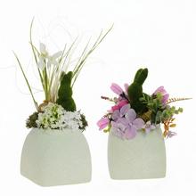 JARNÍ ARANŽMÁ 16,00 - FLORASYSTEM