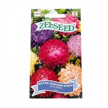ASTRA AMER.KR. VYSOKÁ SMĚS 0,7g - ZELSEED | FLORASYSTEM