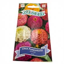 Cínie Pomponi SMĚS 0,8g - FLORASYSTEM