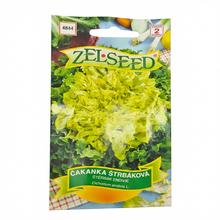 ČEKANKA Štrbáková Ricci Cuore DORO 1g - ZELSEED | FLORASYSTEM