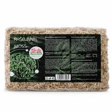 Rašeliník Terrabloom 12l pevná cena - FLORASYSTEM